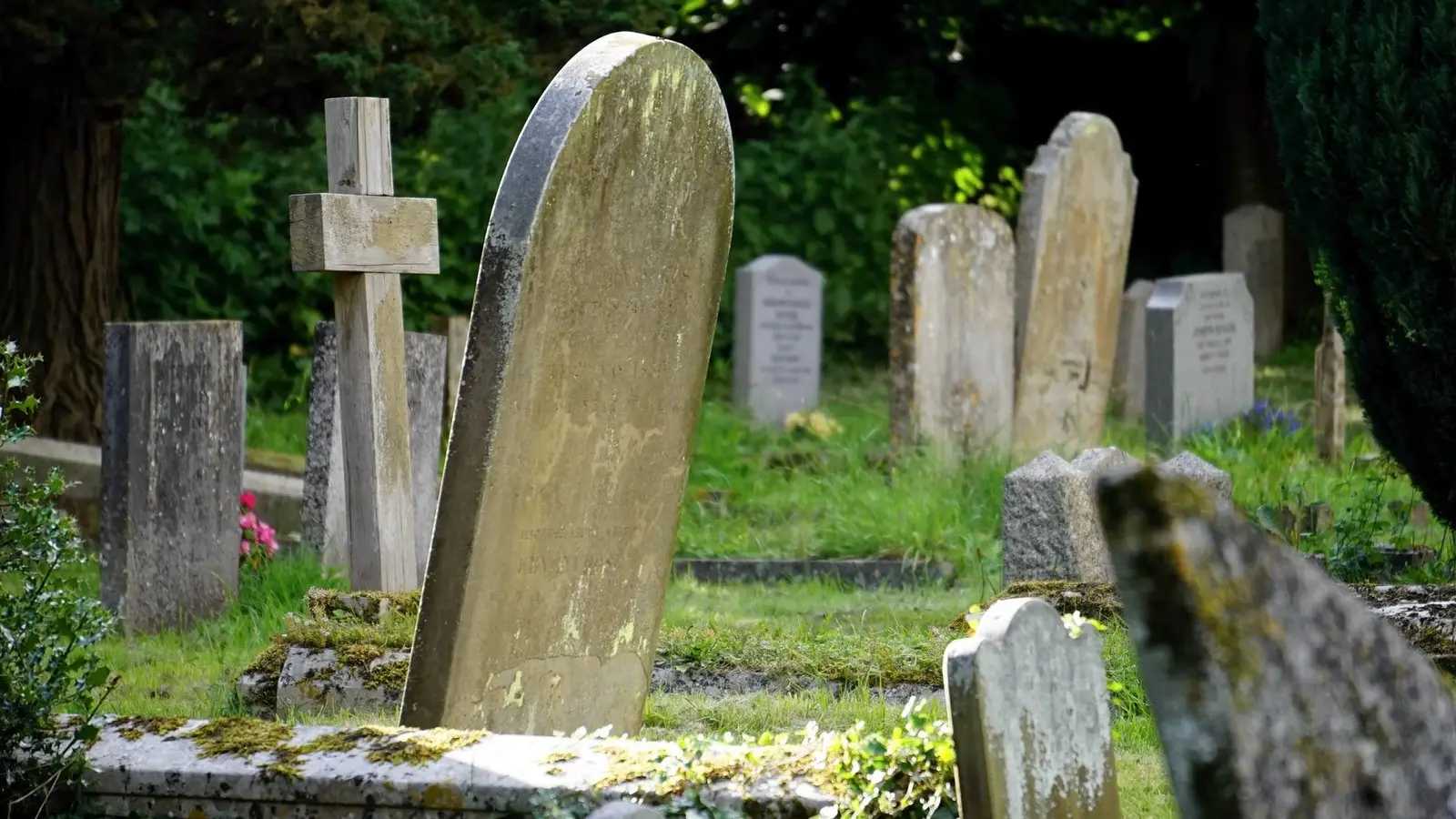 Death – Not for Dummies